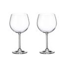 Jogo com 2 Taças de Cristal Para Gin 570 ml Linha Gastro/Colibri Bohemia