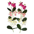 Jogo Com 6 Minis Buquês De Orquídeas 19,5cm Cada - Artificiais