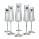 Jogo de 06 Taças para Champanhe Cristal Bohemia 210ml Xtra