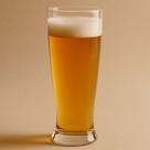 Jogo de 6 Copos para Cerveja Brasília Crisa 350ml