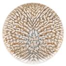Jogo de 6 Pratos Rasos 26 Cm Oxford Flat Leopardita