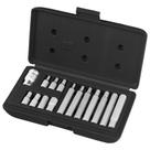 Jogo de bits allen com adaptador de 1/2" de 4 a 12 mm com 15 peças - Stels