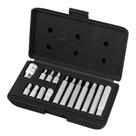 Jogo DE BITS Sextavado Haste Sextavada CRV 10 mm, 15 Peças STELS
