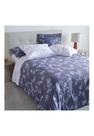 Jogo de Cama Buddemeyer Gran Percalle Louise 200 Fios