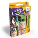 Jogo De Cartas Super Trunfo Cães de Raça 2 - Grow 2643