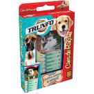 Jogo De Cartas Super Trunfo Cães De Raça Grow