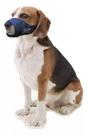 Jogo De Focinheira P/ Cães Cachorros Em Nylon N01 Ao N06 Jogo De Focinheira P/ Cães Cachorros Em Nylon N01 Ao N06