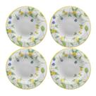 Jogo de Prato Fundo 25cm Kit 4 Pçs Sopa Silvestre Alleanza