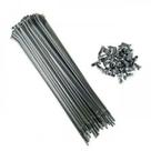 Jogo de raio dianteiro xt600 cromado 4mm - DDL Jogo de raio dianteiro xt600 cromado 4mm - DDL