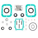 Jogo de Reparo Completo Mercedes Caixa ZF S5-42 - 1307 298 802