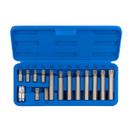 Jogo De Soquete Torx Bits C/ 15 Peças - Lisfer