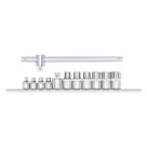 Jogo de Soquetes Torx Perfil Hexalobular com Encaixe 3/8" + 1/2" - 12 Peças - R58018012 - Gedore Red