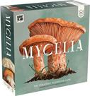 Jogo de tabuleiro para crianças Jogos de tabuleiro Mycelia Tile Placement