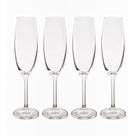 Jogo de Taças de Champanhe de Cristal Bohemia Gastro Colibri Cristal 4 peças 220/4S032-4pç
