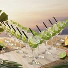 Jogo de Taças de Vidro Twister Martini para Drink 225ml, 12 pcs Ruvolo