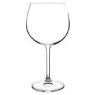 Jogo De Taças Para Gin Em Cristal Gastro Com 6 Peças 570ml Bohemia