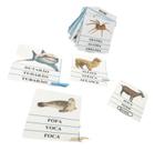 Jogo Educativo para Estimulação Da Leitura Tema Animais Plastificado soletrando dislexia alfabetização