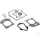 Jogo Junta Motor Briggs Stratton Original