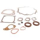 Jogo Juntas Com Retentores Motor Husqvarna HS452 Original