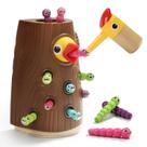 Jogo magnético de alimentação de pássaros Montessori Toy TOP BRIGHT 2Y+