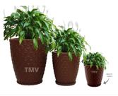 Jogo Vasos Diamante 3d Planta Casa Jardim 3 Tamanhos P, M, G Marrom