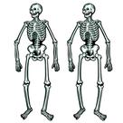 Jointed Skeletons Beistle 22 cm - 2 por pacote para festa de Halloween