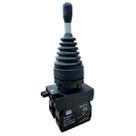 JOYSTICK CSW-JOYP-2R-20 15985813 weg