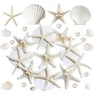 JQAQJU 16 unidades de conchas de estrelas do mar e vieiras de 7 a 10 cm com pérolas