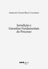Jurisdição e garantias fundamentais do processo
