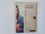 Juventude Negra - Desafios Para o Ensino Médio - Intermeios