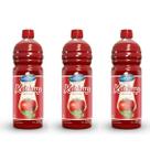 Ketchup IDEAL para Restaurantes, Saboroso e ECONÔMICO 1,01kg Ketchup IDEAL para Restaurantes, Saboroso e ECONÔMICO 1,01kg