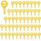 Key Blanks WAH YUE HING Brass Finish M1 (MA1) Pacote com 50 Key Blanks WAH YUE HING Brass Finish M1 (MA1) Pacote com 50