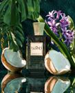 Khadlaj Island EDP 100ml A fragrância que traz o verão para você Sinta a magia das notas cítricas e tropicais e deixe se envolver pelo luxo