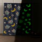 Kit 02 Cobertor Mantinha Brilha no Escuro Solteiro 2,00 x 1,80 Estampada Antialergico Manta Toque Pelucia Macio Hipoalergênico Infantil Menino Menina