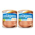 Kit 02 Colageno Hidrolisado Verisol Natural 250g Loja Maxinutri