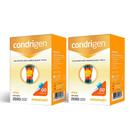 Kit 02 Condrigen Colageno Tipo II com 60 Capsulas Loja Maxinutri