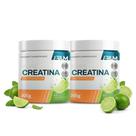 Kit 02 Creatina Monohidratada Arium 300gr