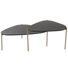 Kit 02 Mesas de Centro Para Sala de Estar Pés Metálicos Adek A03 Nero Dourado - Lyam Decor