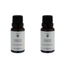 Kit 02 Óleos Concentrado Musgo de Carvalho 20ml Lenvie