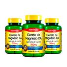 Kit 03 Cloreto de Magnésio P A 500mg 60 Cápsulas Maxinutri