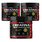 KIT 03 Creatina Monohidratada PURA 300g Natural Tem Vida KIT 03 Creatina Monohidratada PURA 300g Natural Tem Vida
