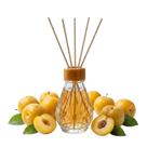 Kit 03 Difusor de Aromas com Varetas 100ml Ameixa Dourada