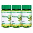 Kit 03 moringa 120 cápsulas cada 500mg Natuvitae