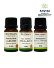 Kit 03 óleos essenciais de copaíba melaleuca e cravo 10ml belezanatu