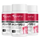 KIT 03 PEA 600 Palmitoiletanolamida Bioativa com Colágeno Tipo 2 I 60 caps Purafor