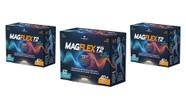 Kit 03 Suplemento Magflex T2 Ultra 60Cps - La San Day