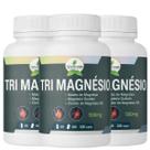 Kit 03 Tri Magnésio 3 em 1 Malato, Quelato e Cloreto de Magnésio / 60 Cápsulas 500mg