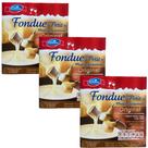 Kit 03 Unidades Fondue De Queijo Suiço Emmi Original 250g