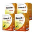 Kit 04 AscorVit Vitamina C + Zinco 60 Cápsulas Maxinutri