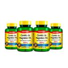 Kit 04 Cloreto de Magnésio P A Maxinutri 500mg 60 Cápsulas
